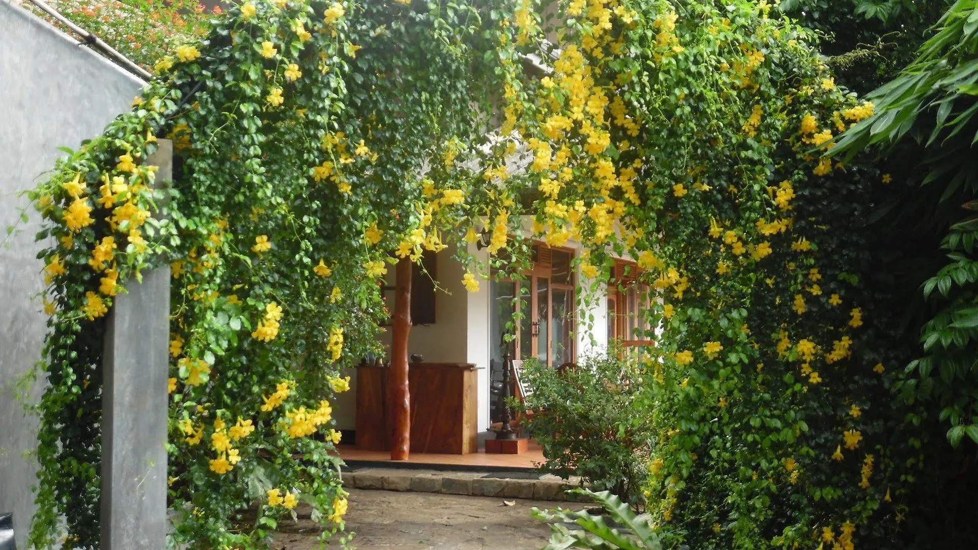 Thotupola Residence Kandy Bed & Breakfast